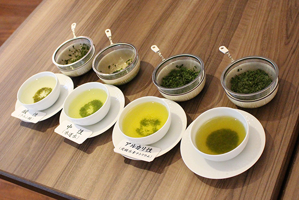 1899ティーカレッジ